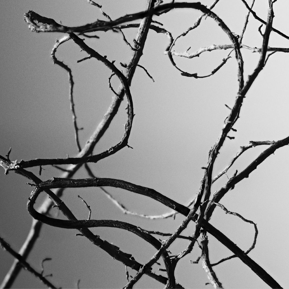 EAU DE GREY VETIVER EAU DE TOILETTE